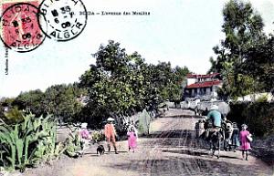 Blida - Avenue des Moulins_2